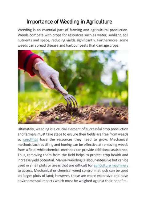 The Importance of Weeding Mechanisms