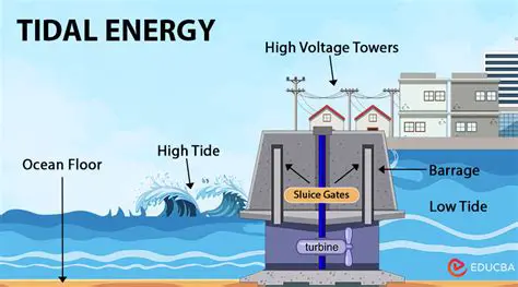 The Physics of Tidal Energy