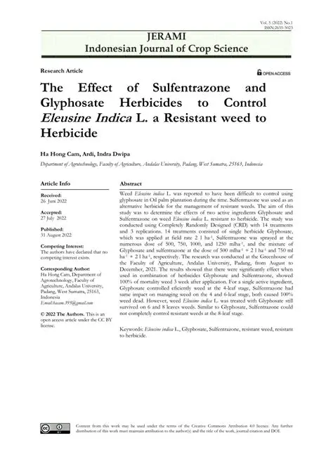The Problem of Glyphosate Resistant Eleusine Indica Weeds
