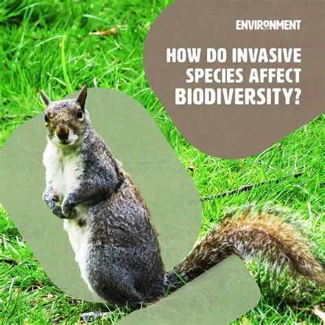 The Problem of Invasive Species