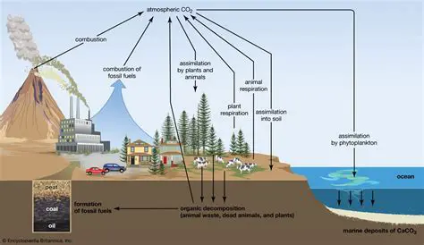 The Process of Burning Up in the Atmosphere