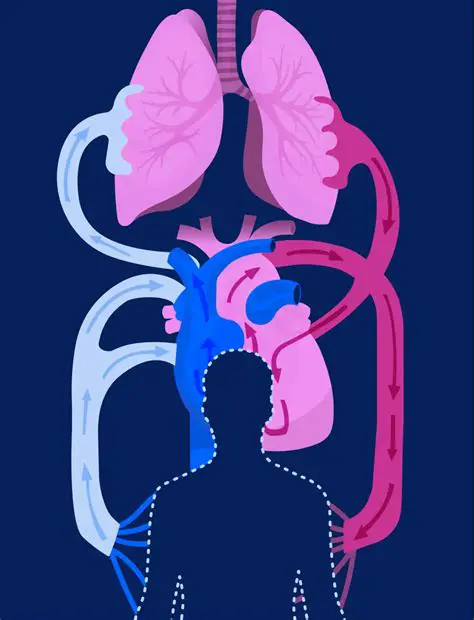 The relationship between heart transformation and salvation
