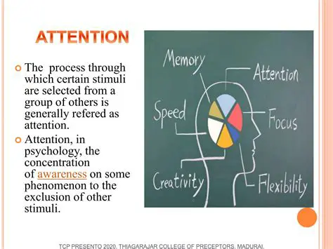 The Role of Attention in Maintaining Tantrums