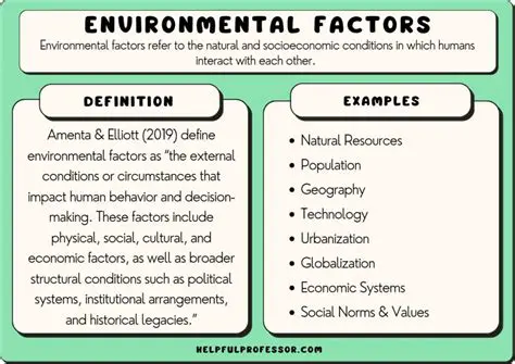 The Role of Environmental Factors