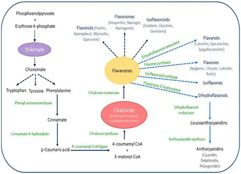 The Role of Favorites in Biology