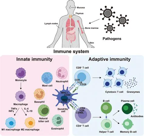 The Role of the Immune System