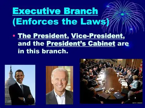 The Role of the President in Enforcing the Law