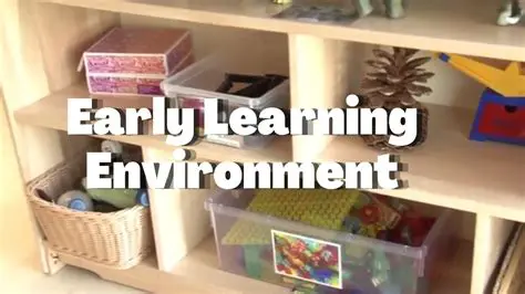Types of Intrusions in Early Childhood Environments