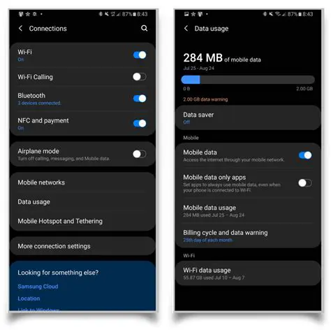 Understanding Data Usage on Family Plans