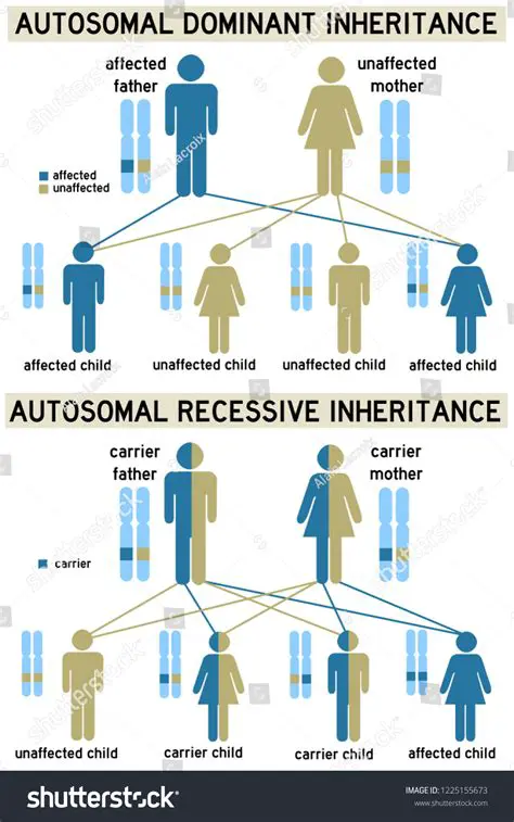 Understanding Dominant and Recessive Traits