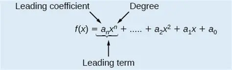 Understanding Leading Coefficient and Constant Term