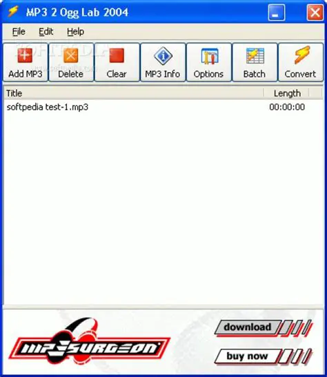 Understanding MP3 2 Ogg Lab 2004