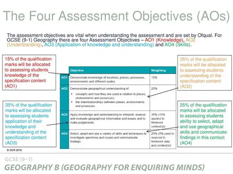 Understanding the Assessment