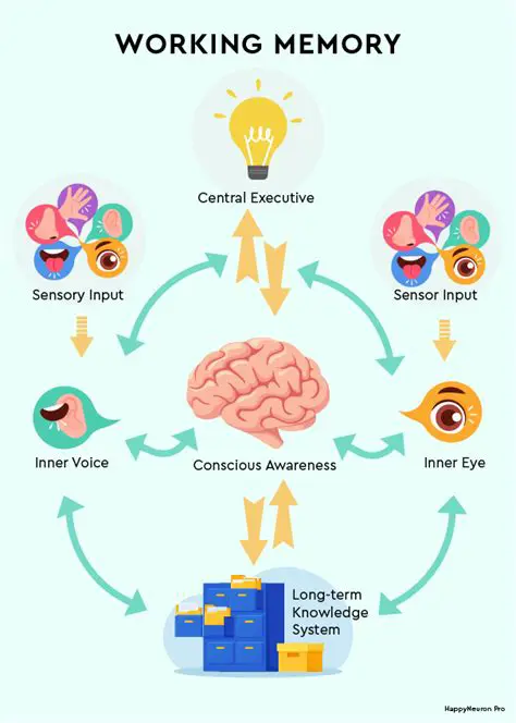 Understanding the Concept of Working Memory