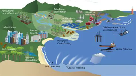 Understanding the Importance of Coastal Monitoring