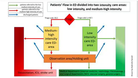 Understanding the Importance of Exploitability Triage