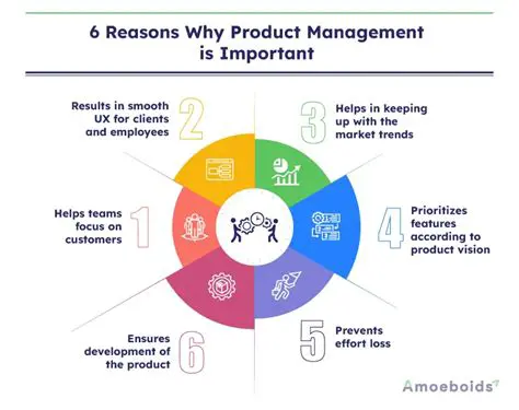 Understanding the Importance of Reasons
