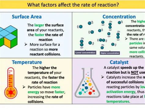 Understanding the Rate of Reaction