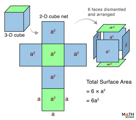 Understanding the Relationship Between Surface Area and Volume of a Cubical Cell
