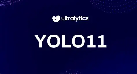 Understanding YOLO11 and P2 Layer