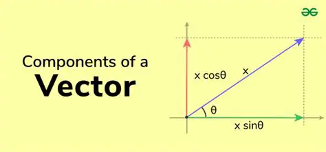 Vector D and its Components